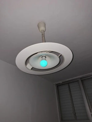 A1bf278ec9f774958b5fd535fbde8aa69G.jpg